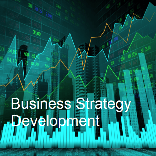 Business Strategy Development